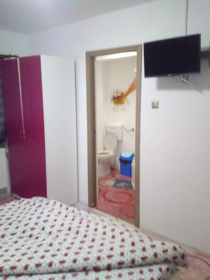 Casa Milos Si Fiul Baile Herculane Bagian luar foto